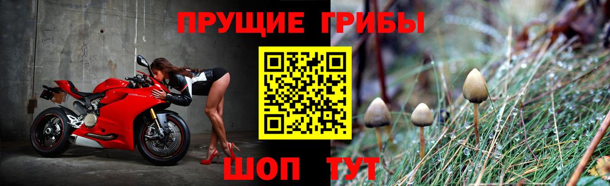 Галлюциногенные грибы Magic Shrooms  Вход с VPN  Россошь 