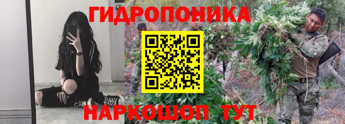 Каннабис ГИДРОПОН  Бошки марихуана Ganja  Россошь  Вход с VPN  Конопля MAZAR 